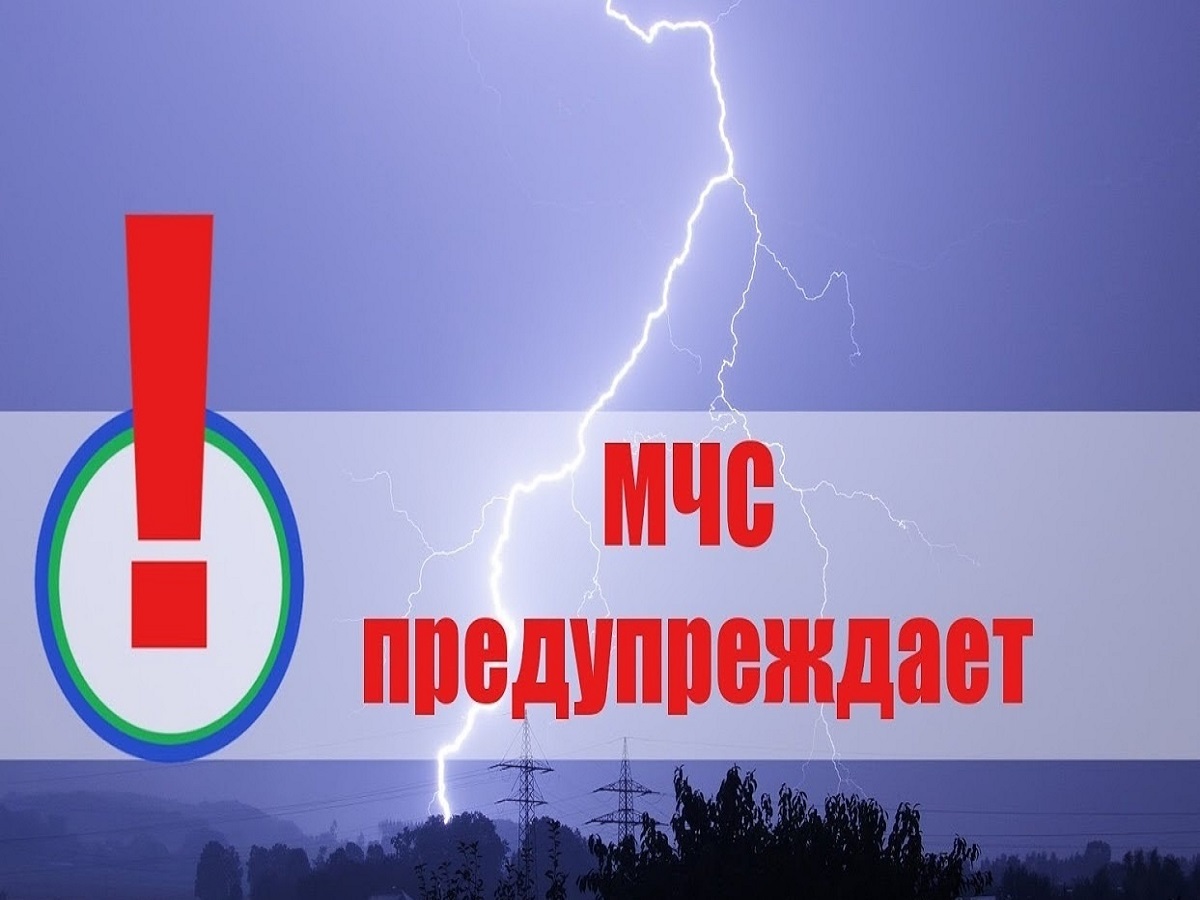 «Оперативное предупреждение» 29 июля 2023 года в дневные часы местами на территории Республики Мордовия ожидаются порывы ветра 15 - 20 м/с и гроза.